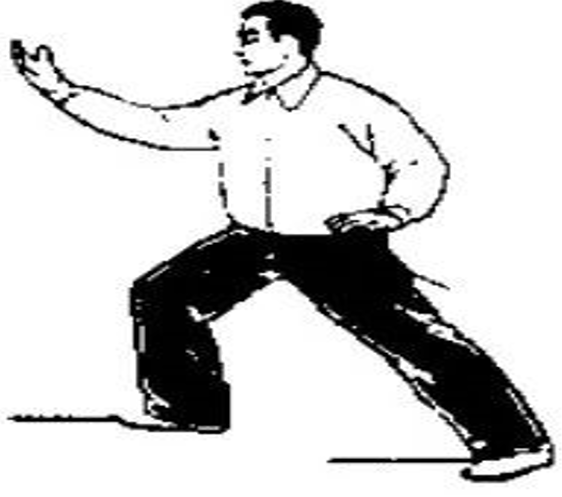 Tai Chi Walking