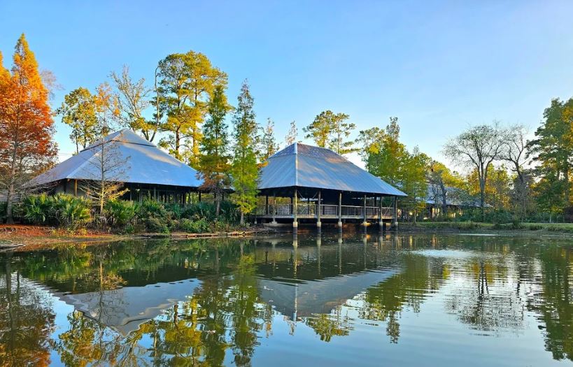 New Outdoor Tai Chi Sessions Return This October (2025)!